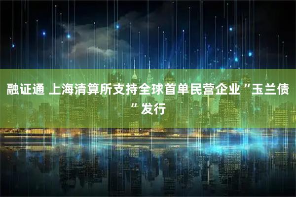 融证通 上海清算所支持全球首单民营企业“玉兰债”发行