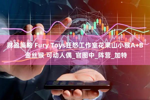 财盈策略 Fury Toys狂怒工作室花果山小猴A+B 金丝猴 可动人偶_官图中_阵营_加特