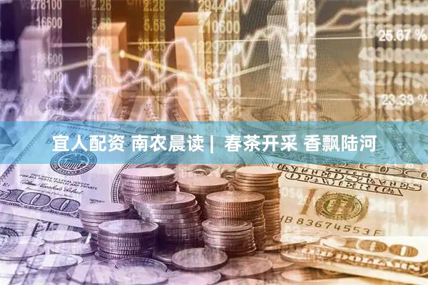 宜人配资 南农晨读 |  春茶开采 香飘陆河