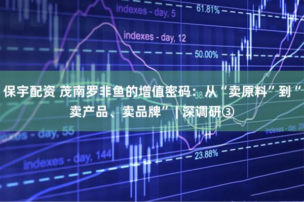 保宇配资 茂南罗非鱼的增值密码：从“卖原料”到“卖产品、卖品牌” | 深调研③