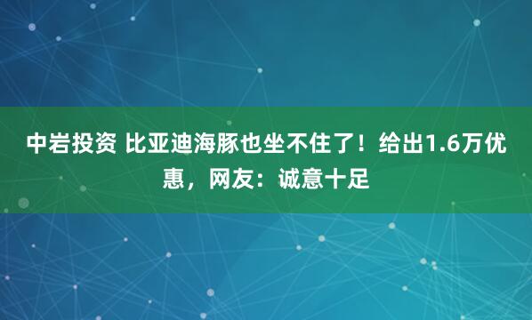 中岩投资 比亚迪海豚也坐不住了！给出1.6万优惠，网友：诚意十足