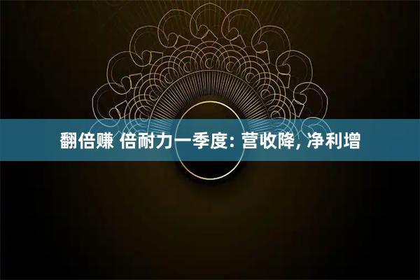 翻倍赚 倍耐力一季度: 营收降, 净利增