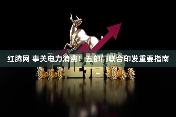 红腾网 事关电力消费！五部门联合印发重要指南